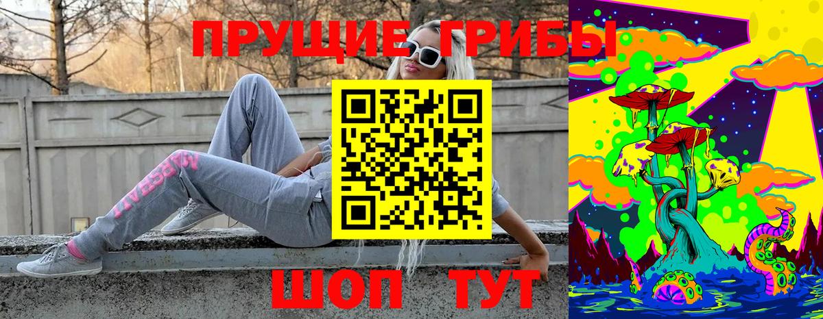 Туймазы  магазин    Вход с VPN  Псилоцибиновые грибы Psilocybine cubensis 