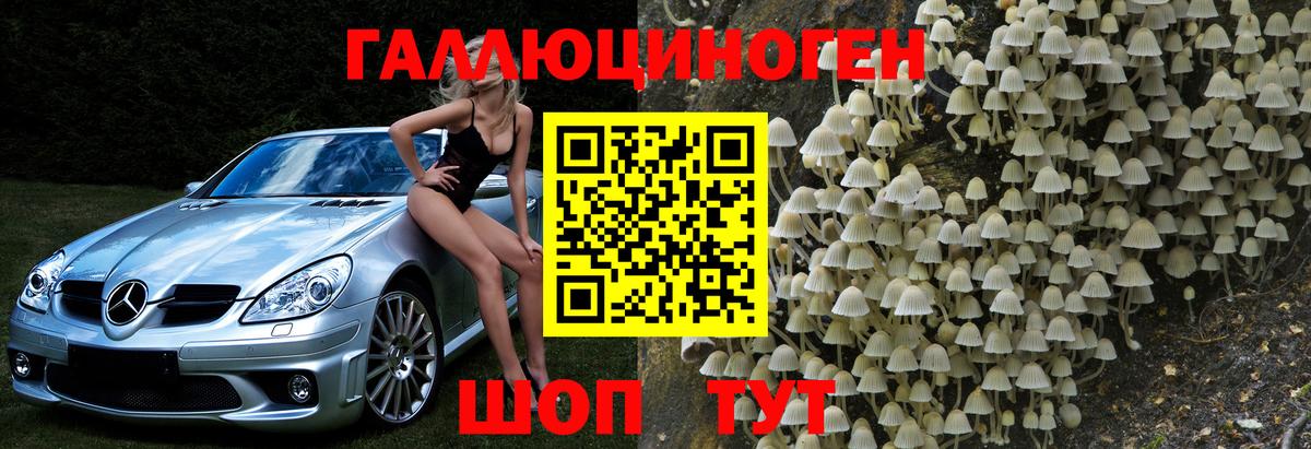 Псилоцибиновые грибы GOLDEN TEACHER Туймазы