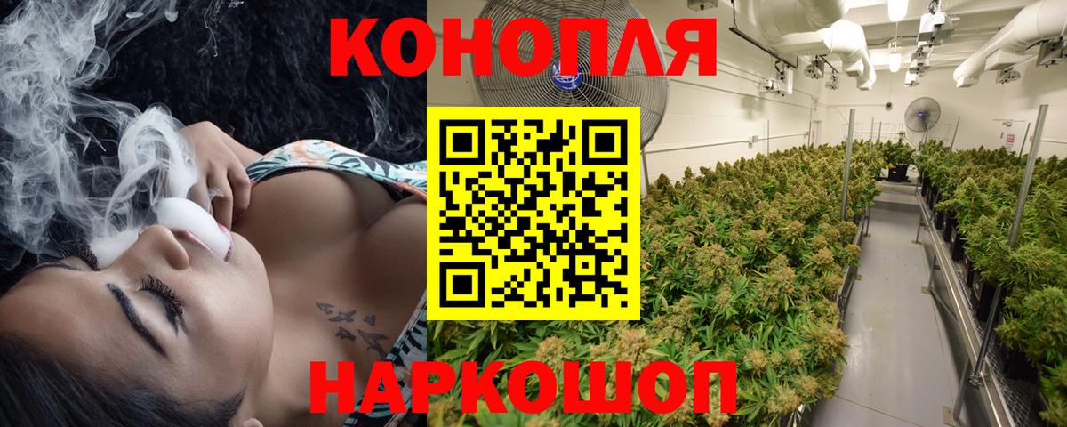 Конопля семена  Каннабис Bruce Banner  Вход с VPN  Каннабис индика  Туймазы  Каннабис Amnesia 